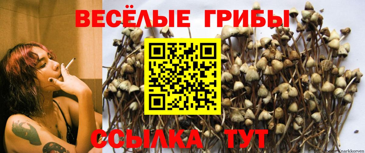 Галлюциногенные грибы Cubensis  Вход с VPN  купить закладку  Саров 